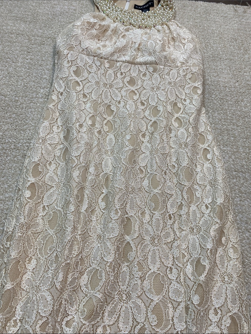 Cachet Beaded Halter Lace Maxi Gown in Ivory and Blush Size 2 - Picture 14 of 15